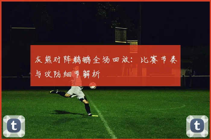 灰熊对阵鹈鹕全场回放:比赛节奏与攻防细节解析