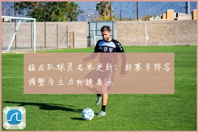 猛龙队球员名单更新：新赛季阵容调整与主力轮换看点
