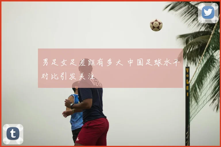 男足女足差距有多大 中国足球水平对比引发关注