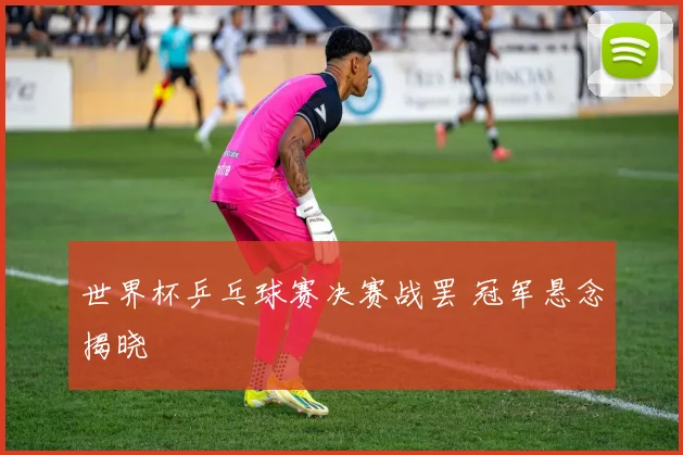 世界杯乒乓球赛决赛战罢 冠军悬念揭晓